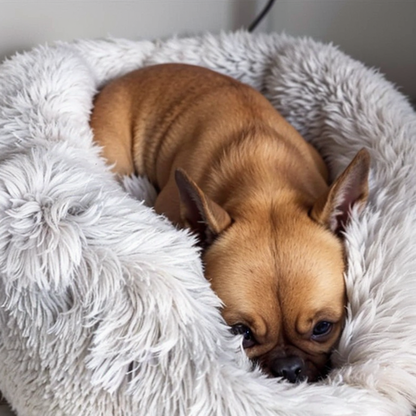 Plush Round Dog Bed for Small Dogs & Cats