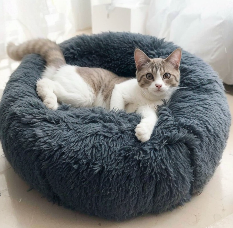 Plush Round Dog Bed for Small Dogs & Cats